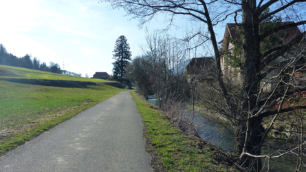 Junge Birs bei Sorvilier