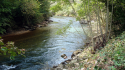 Birs bei Bärschwil im Frühjahr 2007