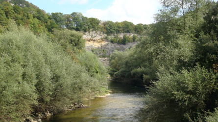 Wunderschöne Natur - 2007
