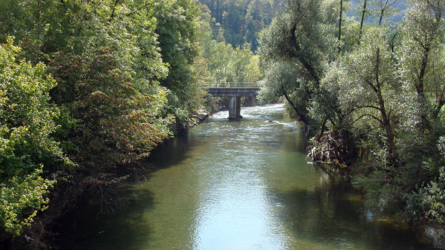 Ruhiger Zug an der Birs - 2007