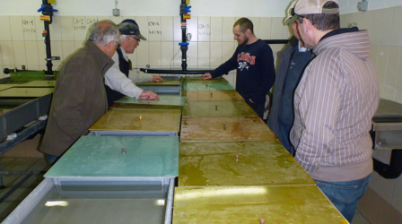 In der Brutanlage Schälloch bei Zwingen - 1. März 2012