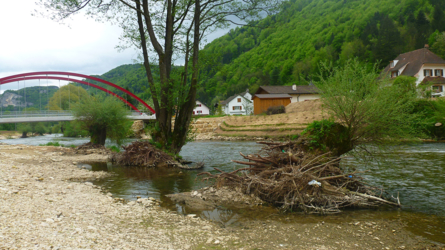 Birs bei Ried-Dessus - Mai 2013