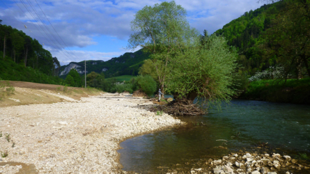 Birs unterhalb von Riedes-Dessus - Mai 2013