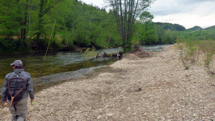Searching for the raising trouts...