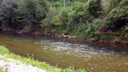 September an der Birs