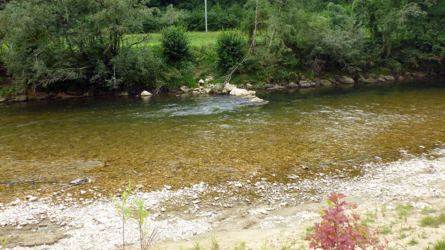 Schönes Hinterwasser - Birs oberhalb von Riedes-Dessus im Mai 2013