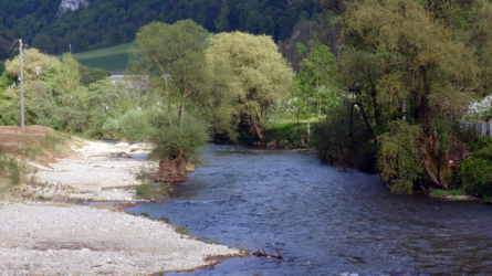 Forellenwasser - Mai 2013