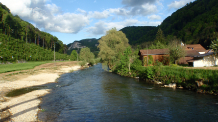 Mai 2013 an der Birs