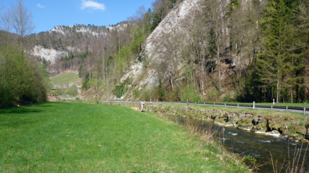 April 2017 an der Berner Birs
