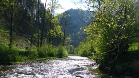 Nymphenwasser...