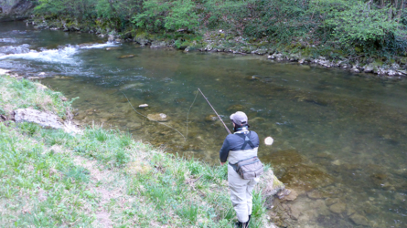 Sylvie stalking for feeding trout - April 2017