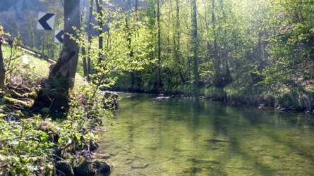 Trockenfliegenwasser...