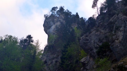 Wilder Jura