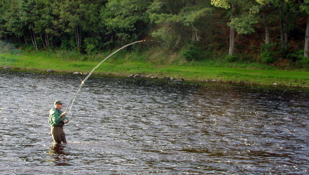 Finally fish on...