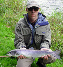 Just another grilse, not very amused...?