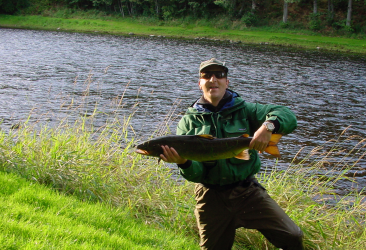 Grilse, photo, release...