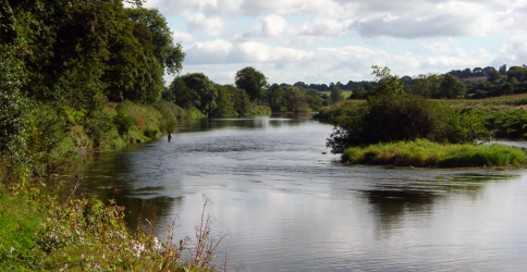 Beautiful fly water...