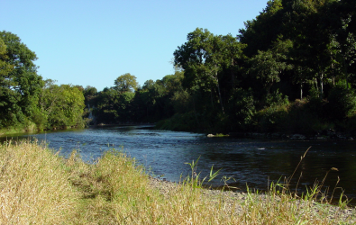 Schöner Fluss, aber wo sind die Lachse?