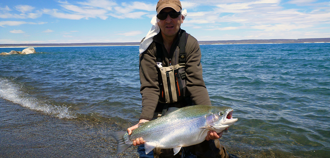 >Strobel Monster 2013