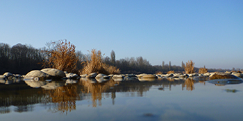 Natur
