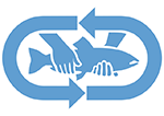 catch and release