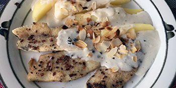 Fische essen