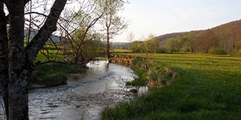 Die Allaine