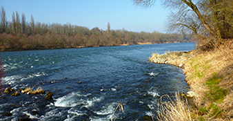 Altrhein unterhalb von Basel