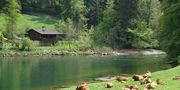 Le Doubs im Jura