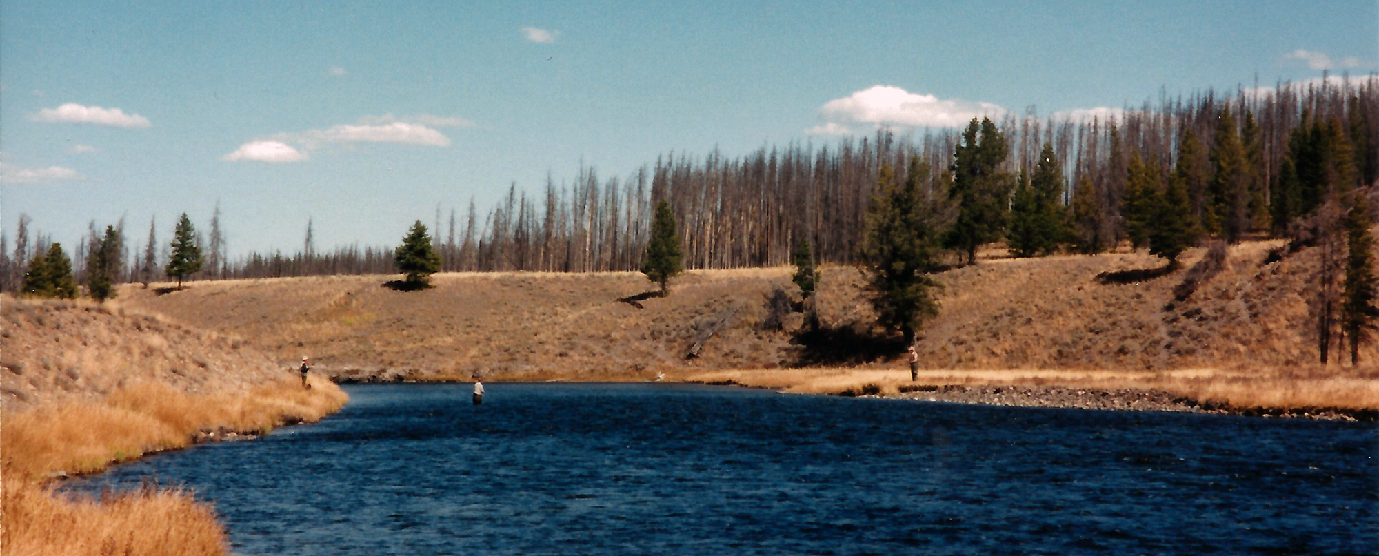 Madison river - Yellowstone National Park, USA