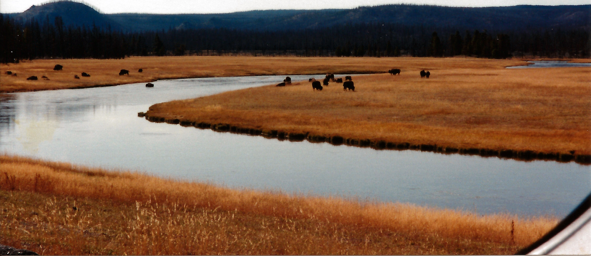 Firehole river