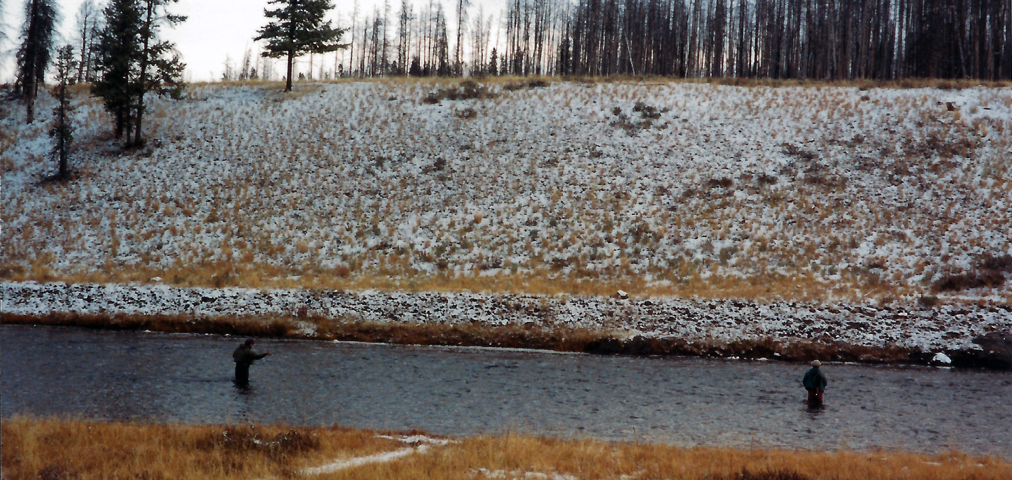 Snowy Day at the Madison River - Yellowstone National Park