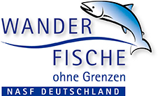 Wanderfische ohne Grenzen Wanderfische ohne Grenzen